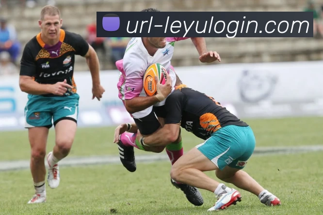 乐鱼体育APP 封面图